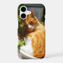 Sucata em um caso pote Case-Mate capa para samsung