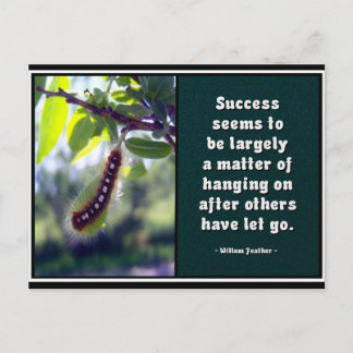 Sucesso Parece Ser... Cartão Postal