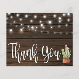 Suculente às Luzes de Cordas Russas do Orçamento O