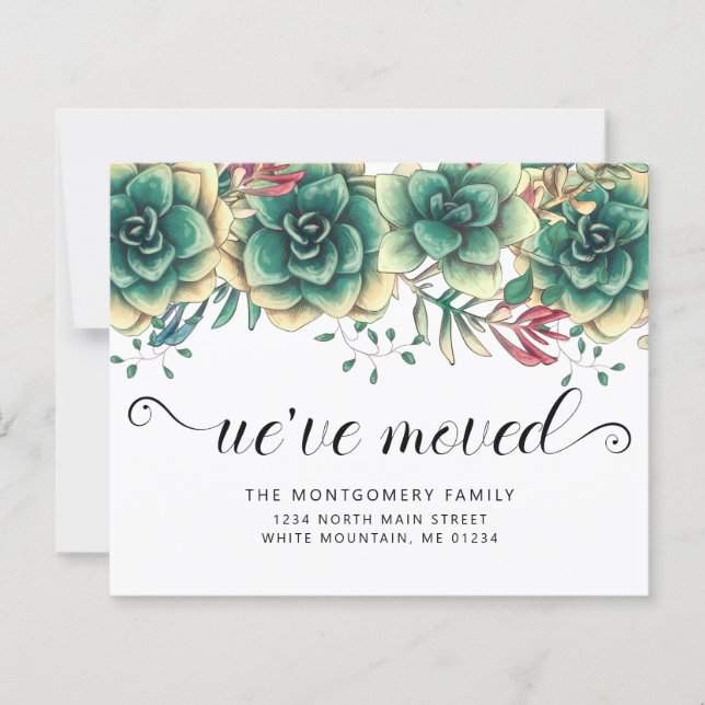 Suculente de Orçamento Pintinhos Movimentando Anún (Frente)