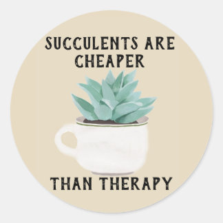 Suculentes São Mais Baratos Que O Adesivo De Terap