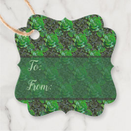 Suculentes Verdes Etiquetas De Presente Do Padrão