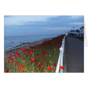 Sudoeste e Poppies no cartão de vazio ao anoitecer