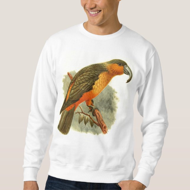 Suéter Camisola básica de Nestor Norfolcensis (Frente)