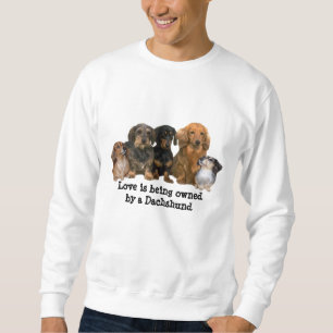 Suéter Camisola unisex do grupo do Dachshund
