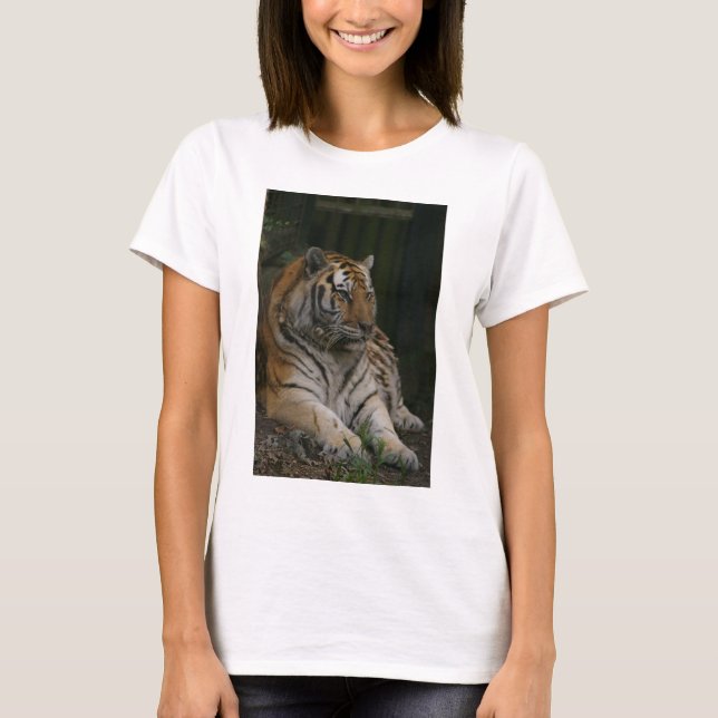 Suéter de Tigress (Frente)