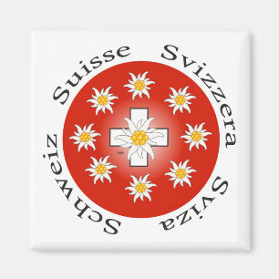 Suíça Suisse Svizzera Svizra Switzerland íman