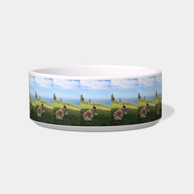 Suka Desfrutando da Tigela de Pet Cape George (Frente)