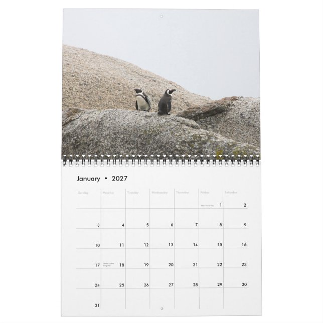 Sul - calendário africano do safari (Jan 2027)