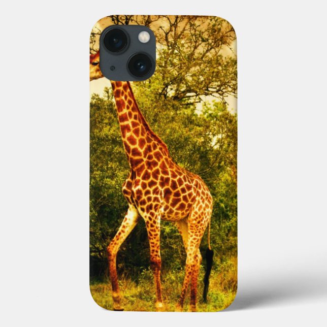 Sul - girafas africanos (Verso)