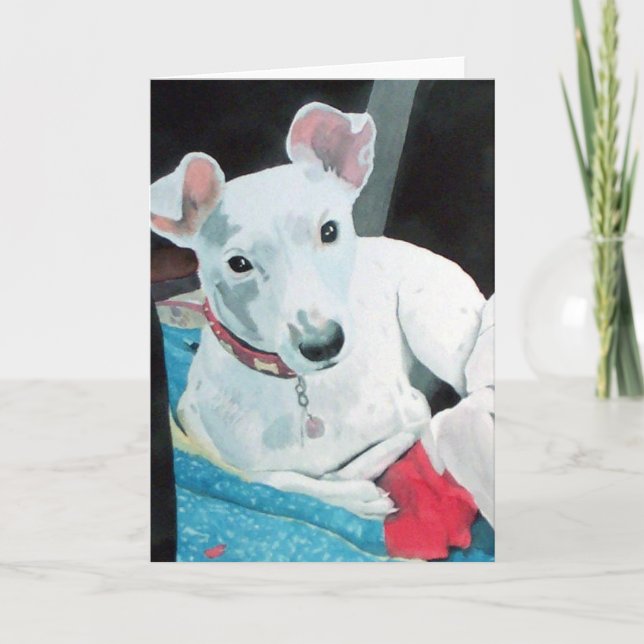 Sully o cartão de Jack Russell Terrier (Frente)