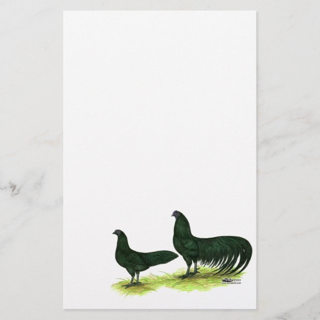 Sumatra Black Chickens (Frente)