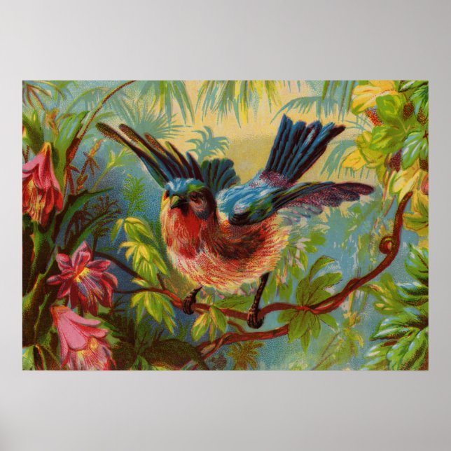Summer Bluebird Small Poster (Frente)