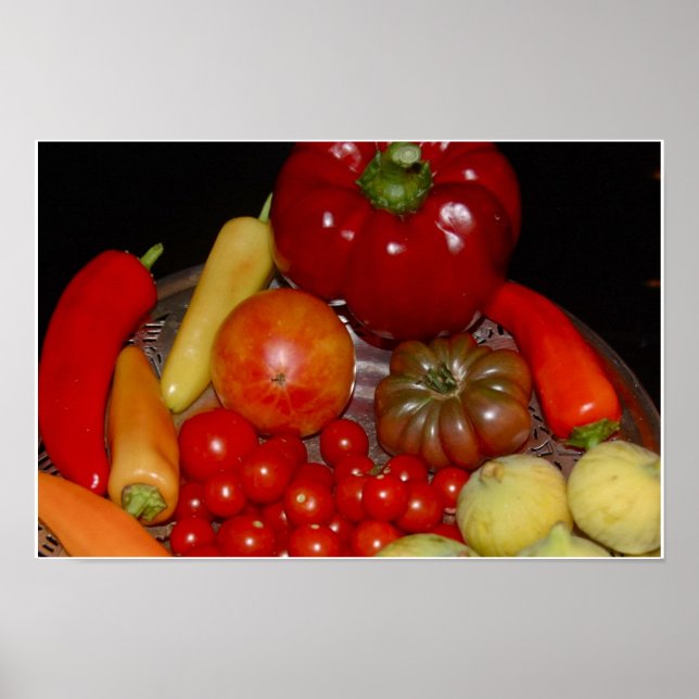 Summer Bounty Impressão (Frente)