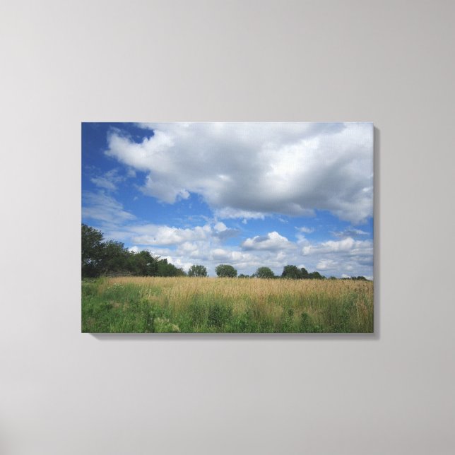 Summer Iowa Prairie Canvas Print (Frente)