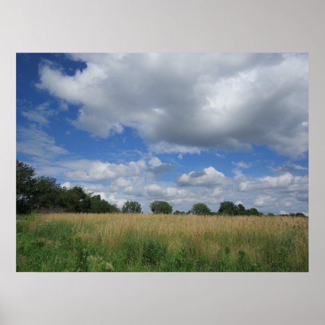 Summer Iowa Prairie Poster (Frente)