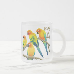 Sun Conure repete mecanicamente a caneca do vidro