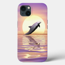 Sun Dolphin
