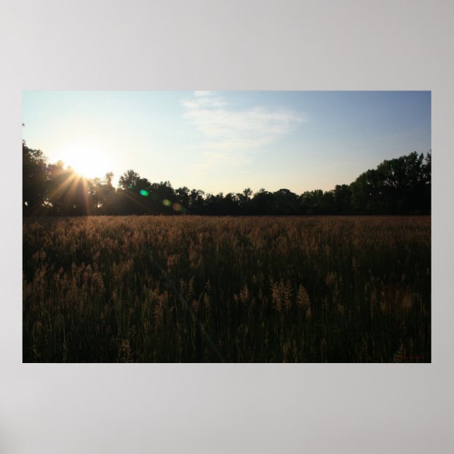Sun Over Field #4156 Poster (Frente)