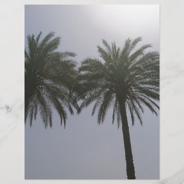 Sun Trees Egito. (Frente)