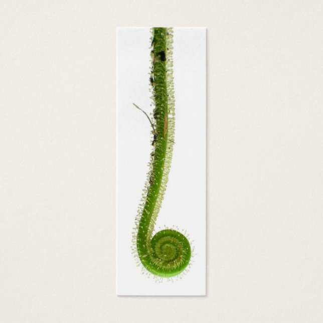 Sundew Frond Bookmark (Frente)