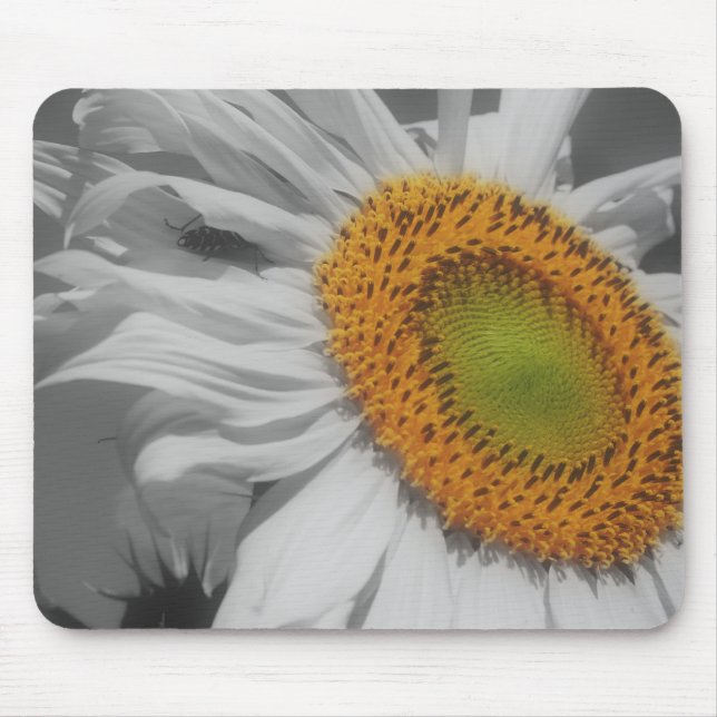 Sunflower Close Up Black White Mousepad (Frente)