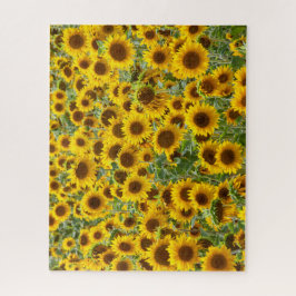 Sunflower Field Quebra-cabeça