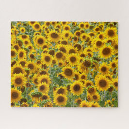 Sunflower Field Quebra-cabeça