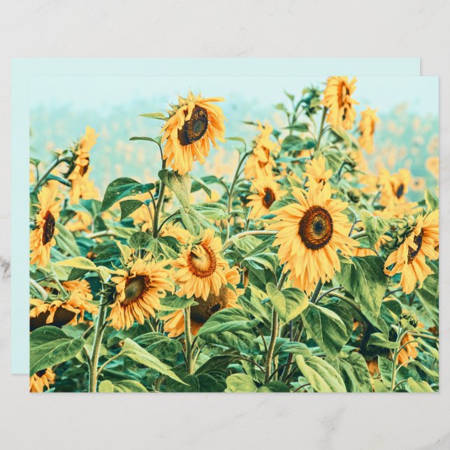 Sunflower Field Yellow Tear Decoupage Arte Floral (Frente/Verso)