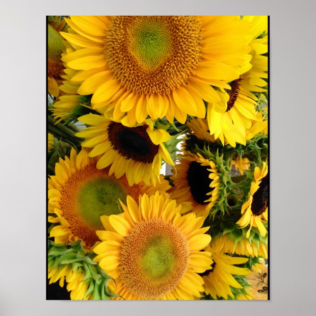 Sunflower Happy Yellows Poster Wall Decor (Frente)