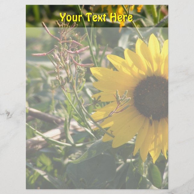 Sunflower Lethead (Frente)