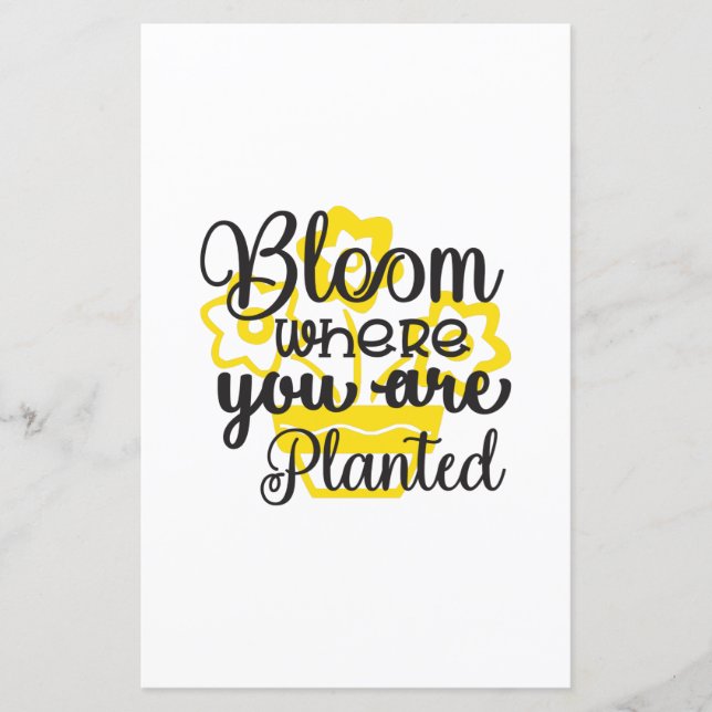 Sunflower Lover | Onde Está Plantado (Frente)
