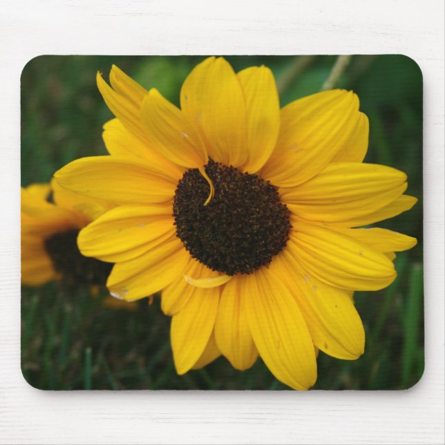 Sunflower Mousepad (Frente)