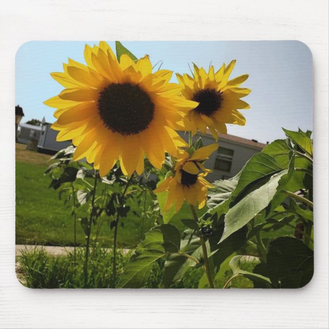Sunflower Mousepad (Frente)