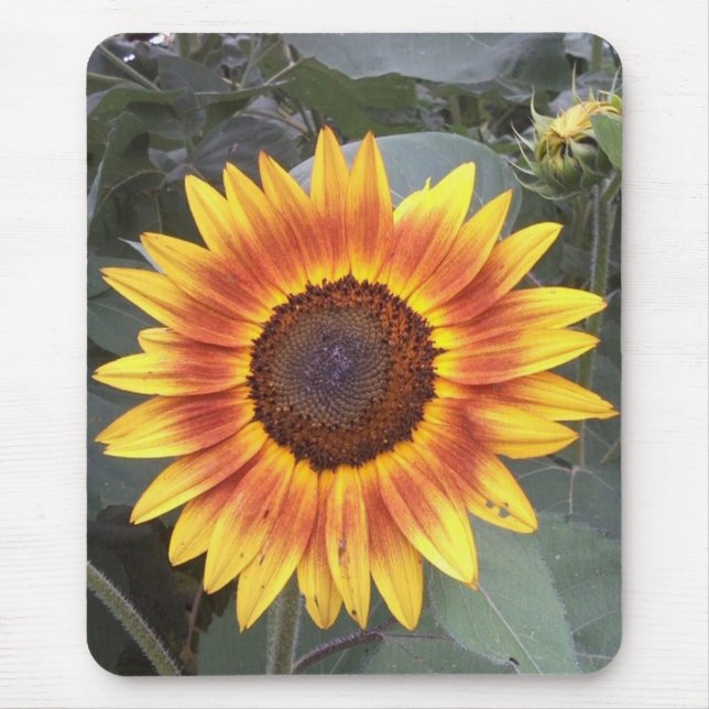Sunflower Mousepad (Frente)
