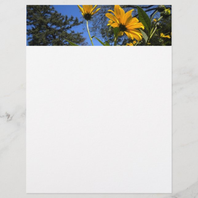 Sunflower N Sky Letterhead (Frente)