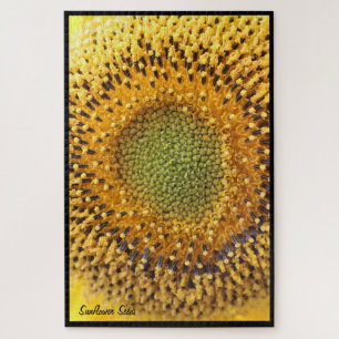 Sunflower Seeds Quebra-cabeça