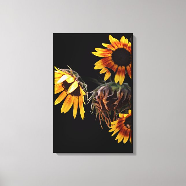 Sunflower Stretched Canvas Print (Frente)