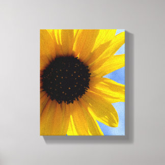 ~SuNFLoWeR TRio oN Canvas #1~