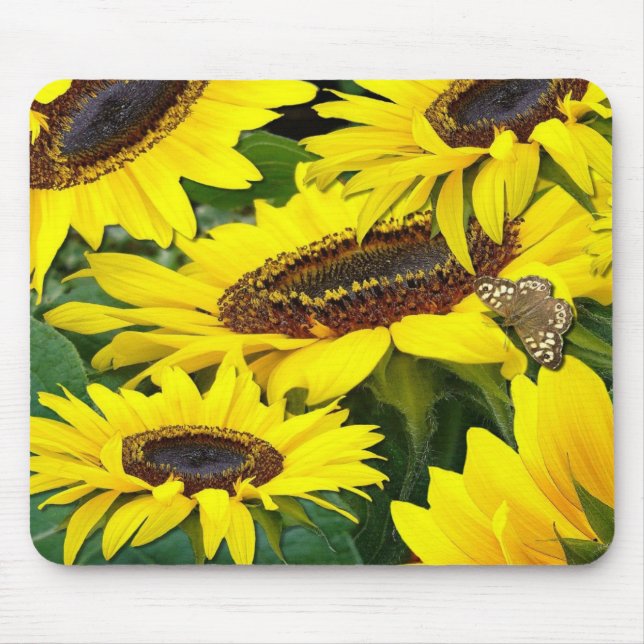 SUNFLOWERS ~ Mousepad (Frente)