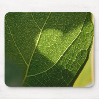 Sunlit Heart Leaf Mouse Pad