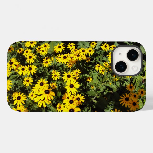 Sunlit Meadow (Verso (horizontal))