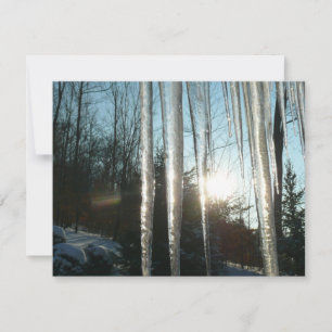 Sunrise Através De Ícicletas Winter Nature Fotogra