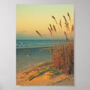 Sunrise Florida Beach Grass Impressão Poster