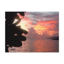 Sunrise na Ilha do Pacífico Sul > Cartão postal