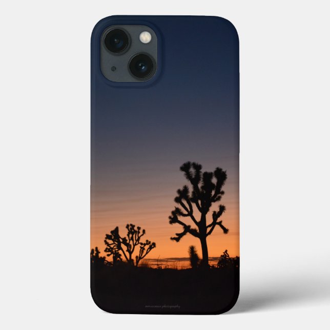 Sunset Joshua Trees (Verso)