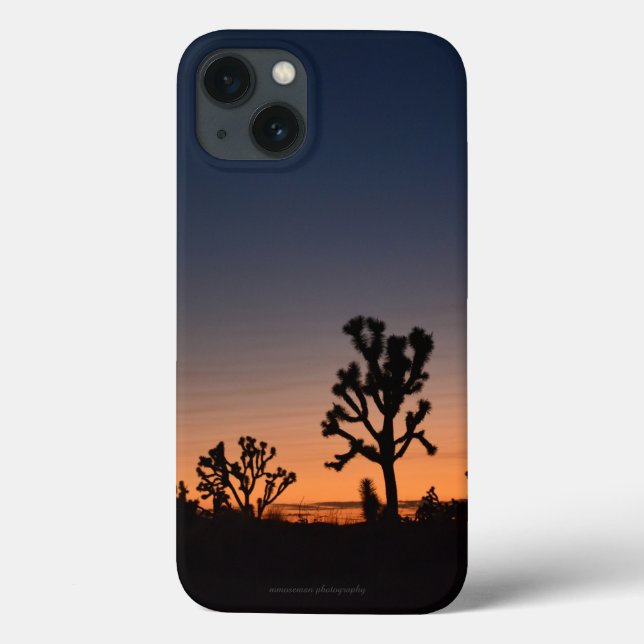 Sunset Joshua Trees (Verso)