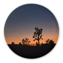 Sunset Joshua Trees