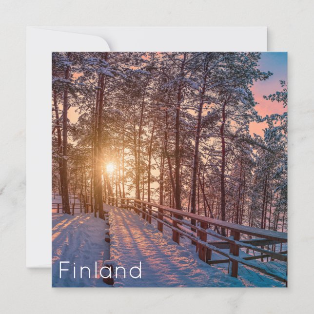 Sunset na floresta de pinheiros com neve com raio  (Frente)