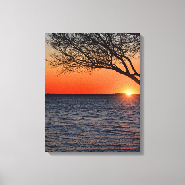 Sunset Sob Canvas De Árvore (Frente)